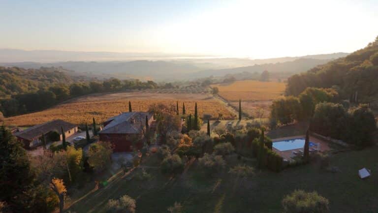 Goldener Oktober in der Toskana: Herbstliche Weinblätter im Abbadia Wine Relais.