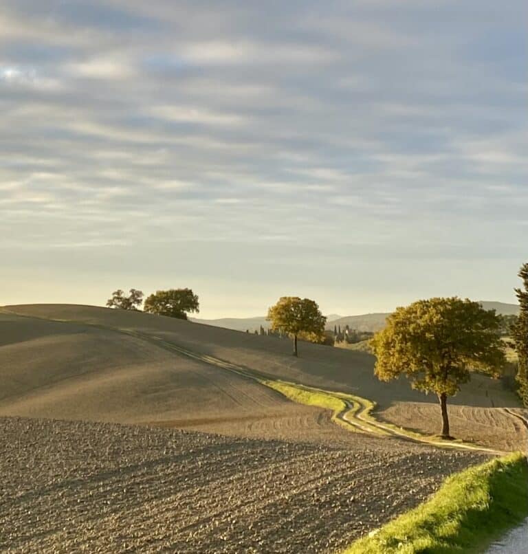 Spectacular panoramic views while hiking through the Val d'Orcia in Tuscany.