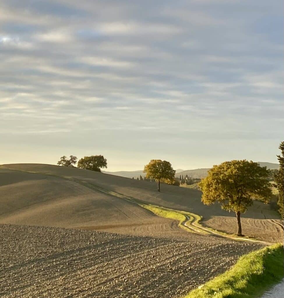 Spectacular panoramic views while hiking through the Val d'Orcia in Tuscany.