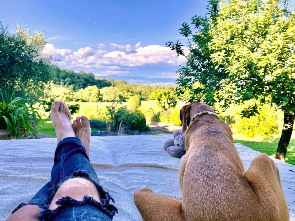 Slow travel moment: Absolute silence and views over the Val d'Orcia.